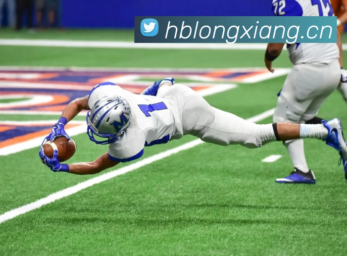 开云在线登录入口官网发展历程